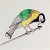 Tegels spijkervogels 19-24