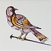 Tegels spijkervogels 7-12