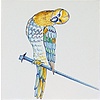 Tegels spijkervogels 7-12