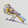 Tegels spijkervogels 7-12