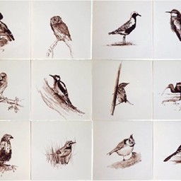 Frisiantiles Tegels vogels sepia B 1-12