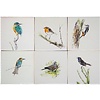 Tegels vogels kleur 1-7