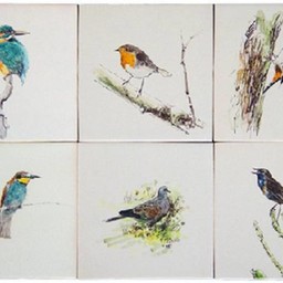 Frisiantiles Fliesen Vögel Farbe 1-7