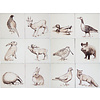 Tiles with wild animals 1-12