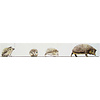 Tile panel Hedgehog  with cubs