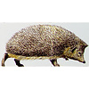 Tile panel Hedgehog  with cubs