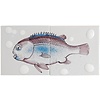 Tegeltableau Fisk 06