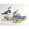 Tegeltableau Kieviten