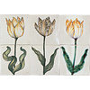 Tegeltableau tulpen 4-6