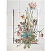 Tegeltableau Zwanenbloem met insecten I