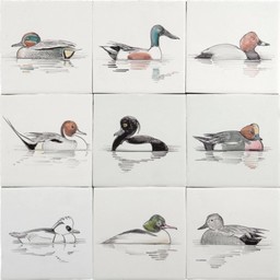 Frisiantiles Tiles with European ducks 1-9