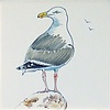 Tiles Herring Gulls 1-9