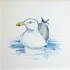 Tiles Herring Gulls 1-9