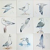 Tiles Herring Gulls 1-9