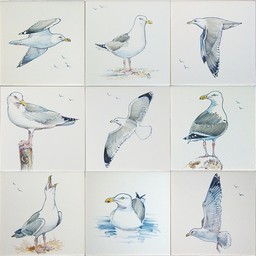 Frisiantiles Tiles Herring Gulls 1-9