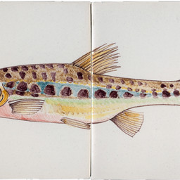 Frisiantiles Tile panel with Common Minnow colour