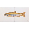 Tegeltableau forel kleur