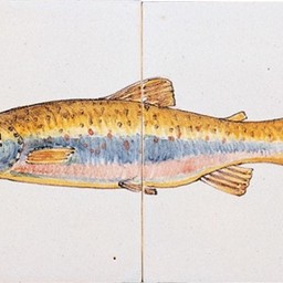 Frisiantiles Tegeltableau forel kleur
