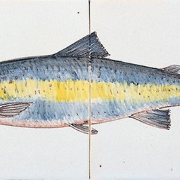 Frisiantiles Fliesentableau Lachs