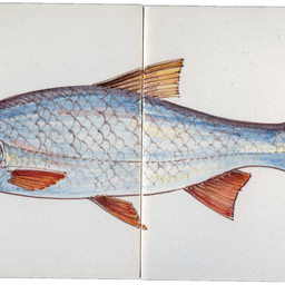 Frisiantiles Tile panel with Common Nase (Sneep)