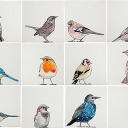 Frisiantiles Tegels tuinvogels 1-12