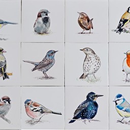 Frisiantiles Fliesen Gartenvögel Boden 1-12