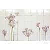 Tegeltableau Zwanenbloem