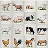 Tegels boerderijdieren kleur 1-16