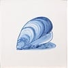 Fliesen Muscheln in Blau
