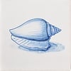 Fliesen Muscheln in Blau