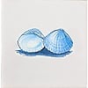 Fliesen Muscheln in Blau
