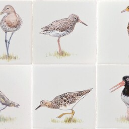 Frisiantiles Fliesen mit Wiesenvögel