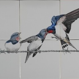 Frisiantiles Fliesenbild Rauchschwalbe mit Jungtier auf Draht