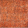 Turtle tiles (antique tiles 1800 - 1930)