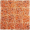 Turtle tiles (antique tiles 1800 - 1930)