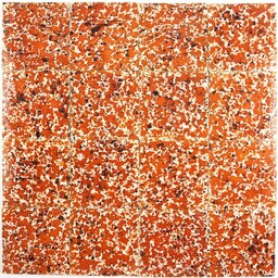 Frisiantiles Turtle tiles (antique tiles 1800 - 1930)