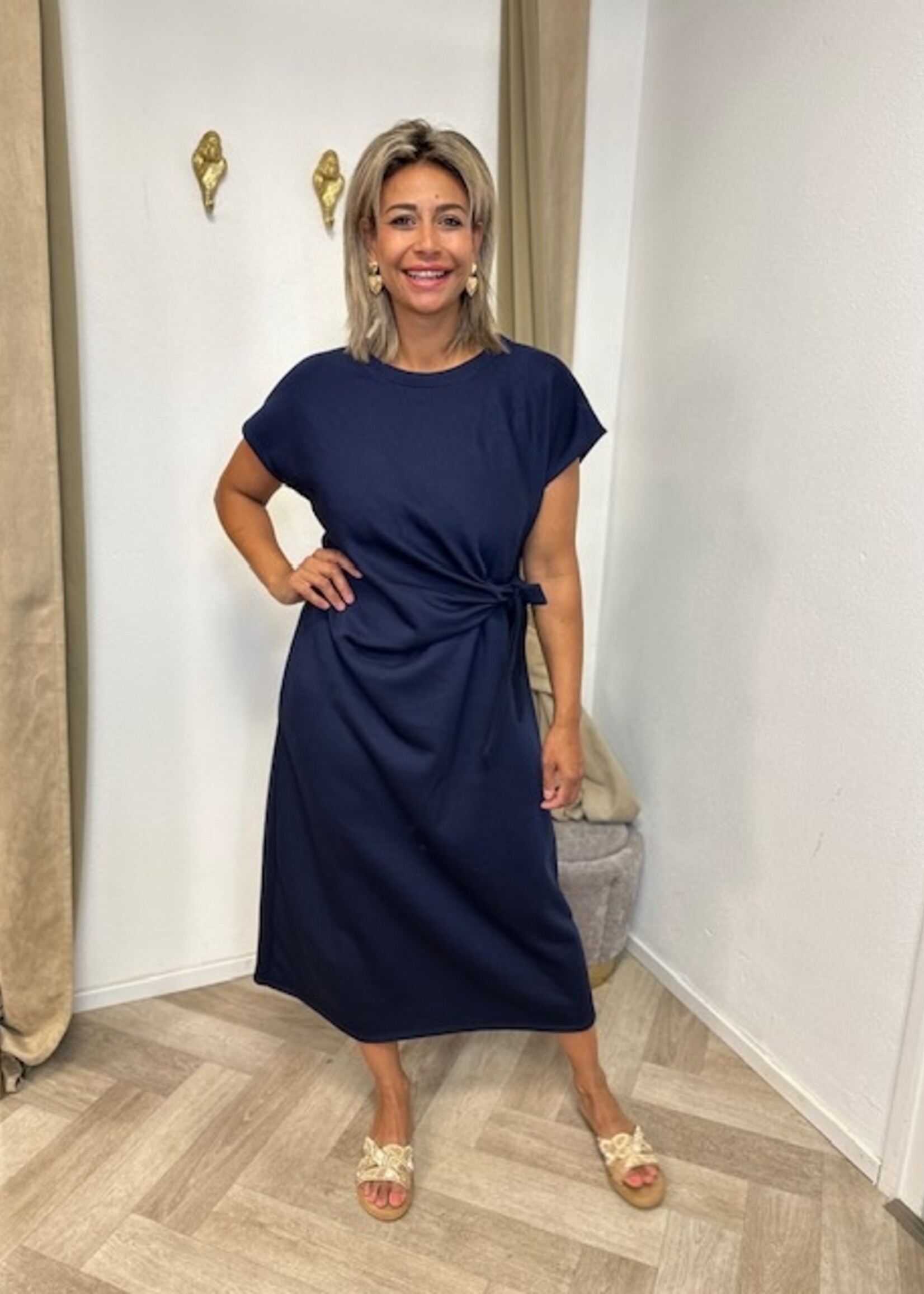 Travel Dress Navy Ivy