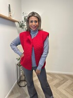 Cozy Balloon Teddy Gilet