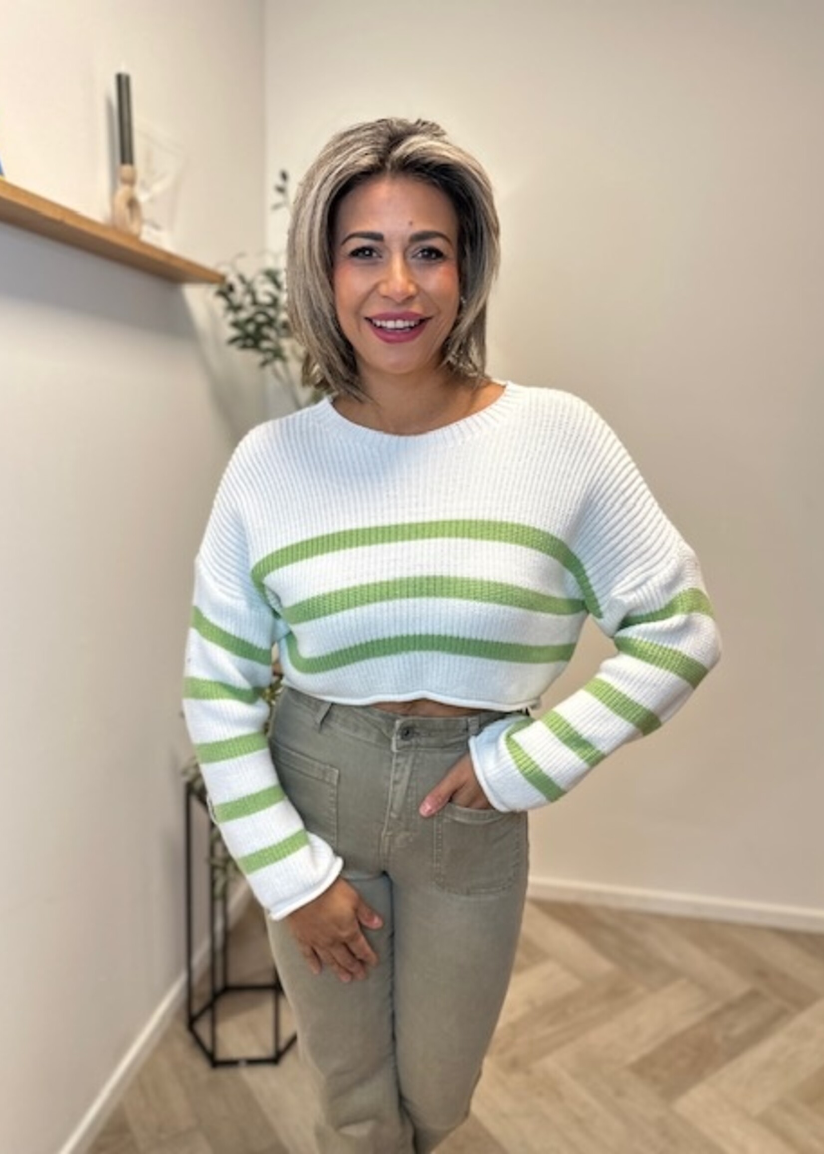 Striped Knit Crop Top