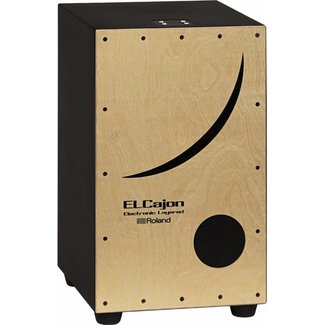 Roland EL Cajon hybrid CE-10