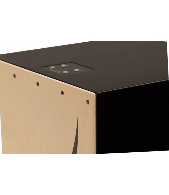 Roland EL Cajon hybrid CE-10 acoustic electronic