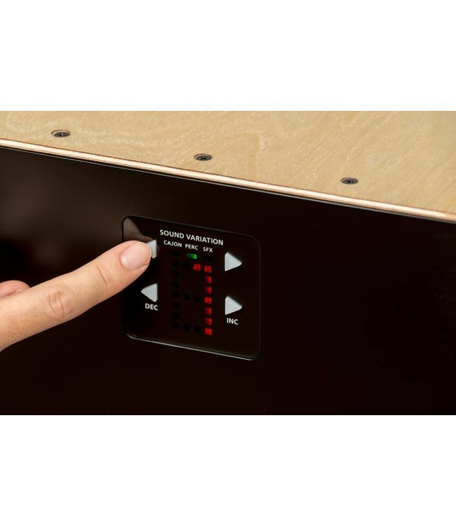 Roland EL Cajon hybrid CE-10 acoustic electronic