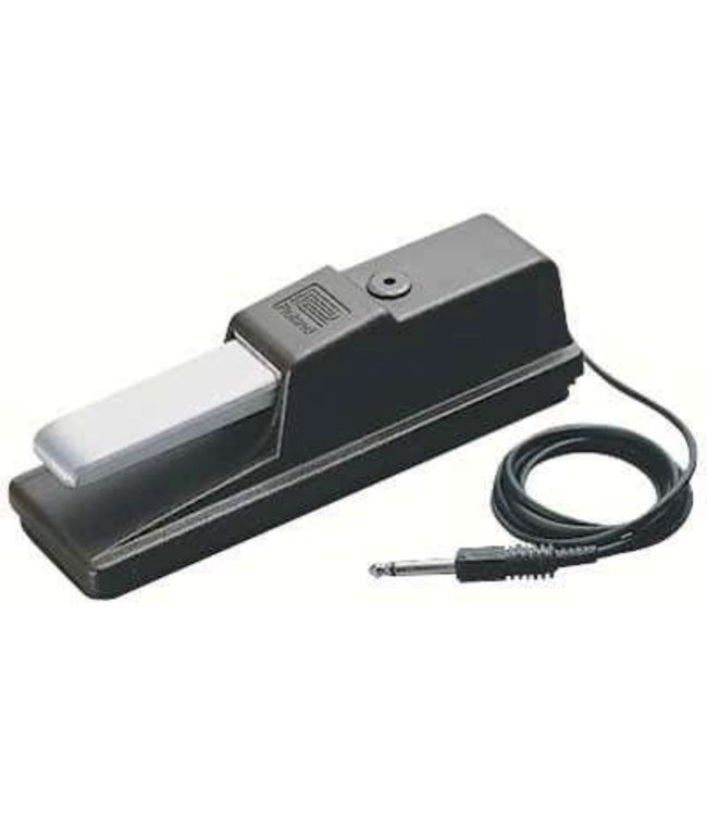 Roland DP-10 sustain damper pedal for E piano keyboard