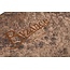 Meinl B21TSR BYZANCE 21'' MIKE JOHNSTON TRANSITION RIDE