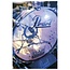DAP DM-55 Kick drum mic D1357 bassdrum microfoon