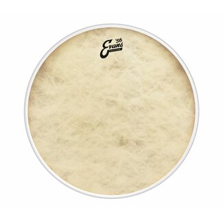 Evans EVANS EVATT08C7 08 'CALFTONE TOM VEL