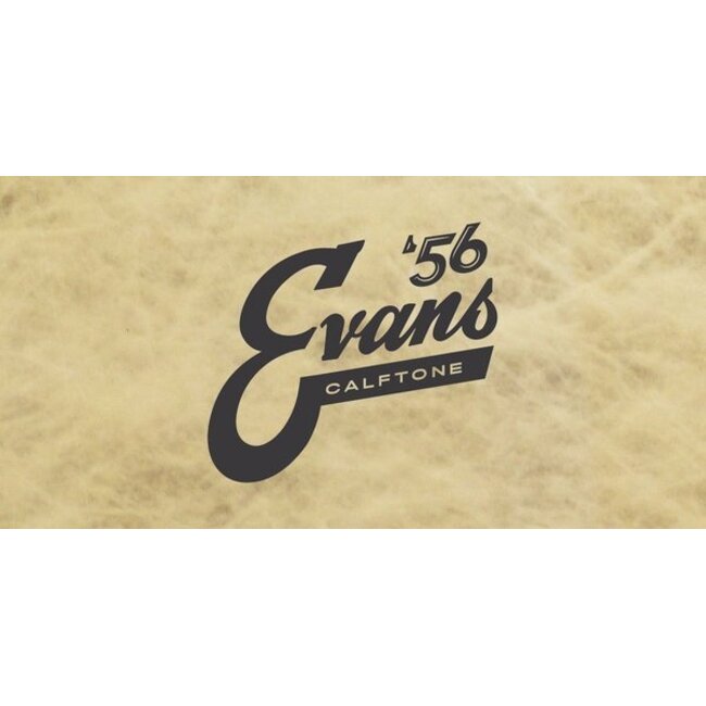 Evans EVANS EVATT08C7 08'' CALFTONE TOM VEL