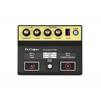 Roland EC-10M El Cajon Mic-Processor EC10M
