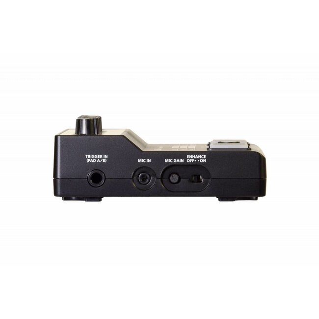 Roland EC-10M El Cajon Mic-Processor EC10M