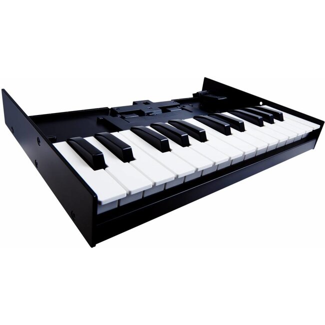 Roland K-25m für Boutique-Tastatur Synthesizer